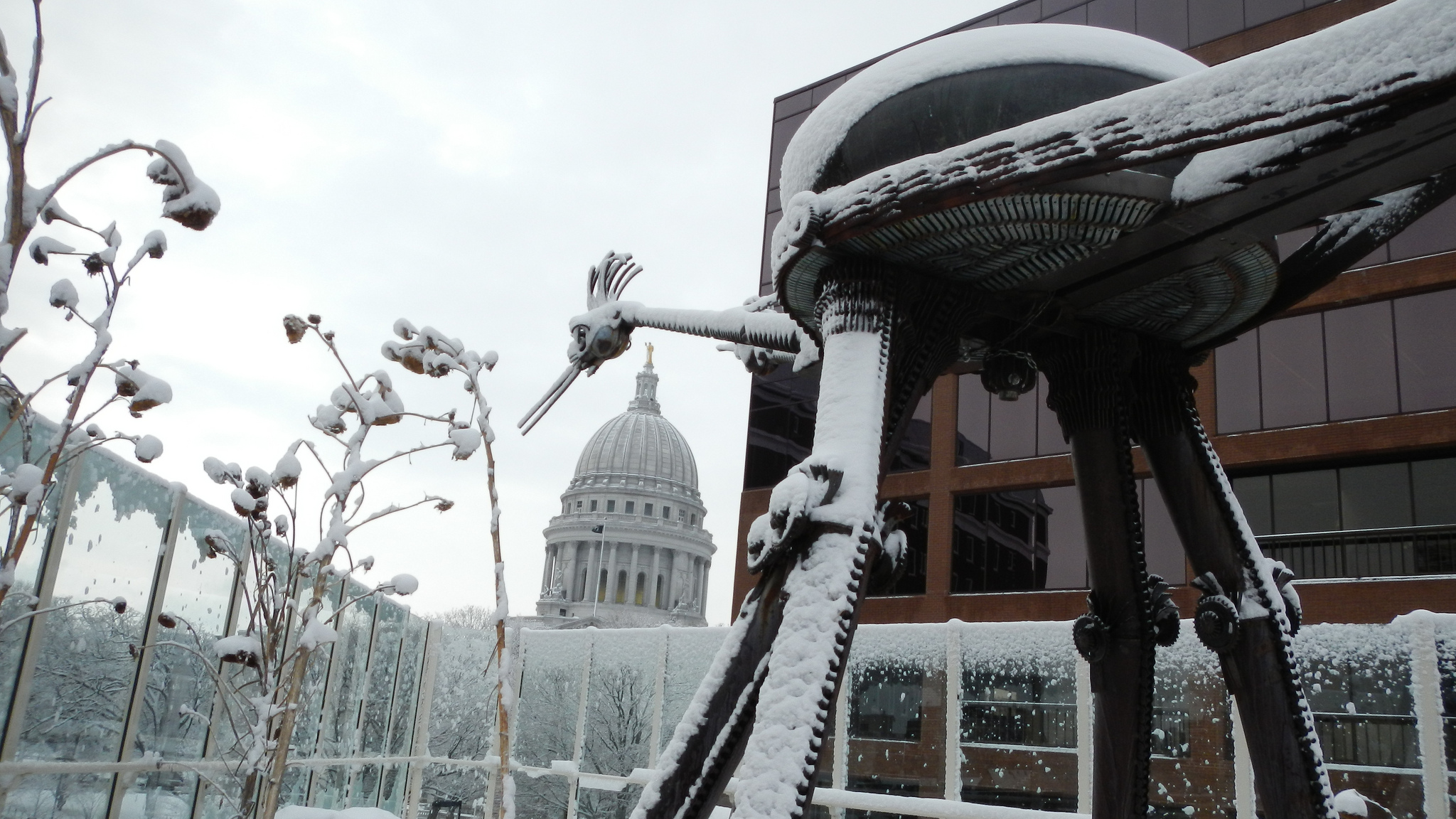 Winter on Madison Children's Museum rooftop