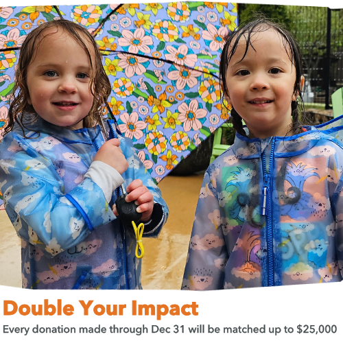 Double Your Impact II v.2