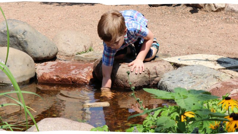 A boy in a plaid shirt kneels over a rock to plunge his hand into the pond in MCM's rooftop garden